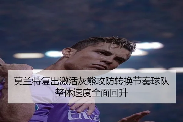 莫兰特复出激活灰熊攻防转换节奏球队整体速度全面回升