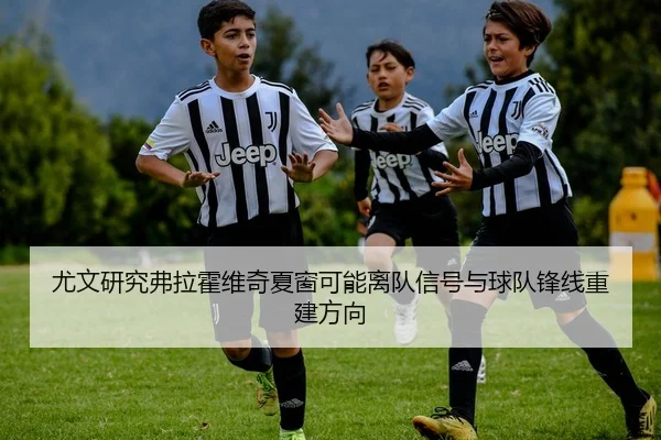 尤文研究弗拉霍维奇夏窗可能离队信号与球队锋线重建方向